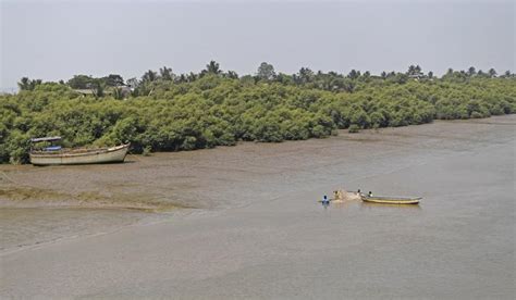 Navapur Beach Maharashtra | WhatsHot Pune