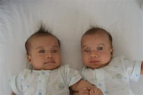 适合双胞胎取名的成语组合，让名字大气又有内涵 - 知乎