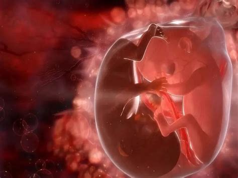 试管婴儿对女性的伤害：多胎妊娠为什么一定要减胎？ - 知乎