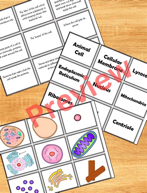 Worksheets Human Cell Structure 的图像结果