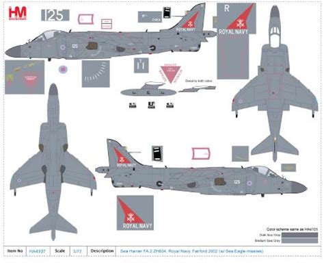 Sea Harrier FA.2 ZH804, Royal Navy, Fairford 2002 (w/ Sea Eagle missiles)