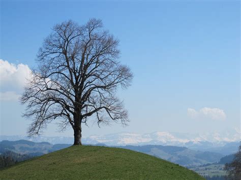 EMMENTALER KÄSEROUTE - All You Need to Know BEFORE You Go 2026 (with ...