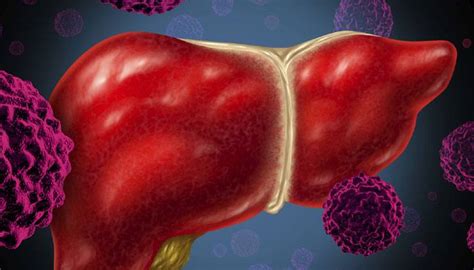 Antioxidant that backs up liver during crisis identified | Health News ...