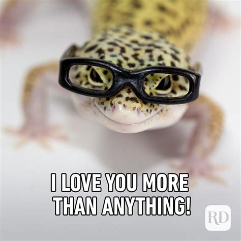 20 Love Memes for Every Occasion | Funny "I Love You" Memes