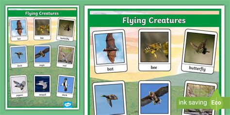 Image result for Moebius Flying Creatures