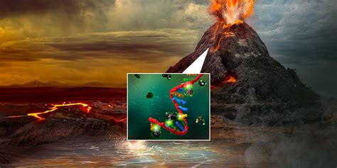 How Did Life First Form 的图像结果