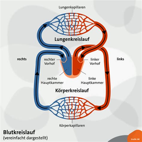 Image result for What Does a Python Program Look Like
