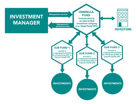 How To Use A Hedge Fund at James Silvers blog