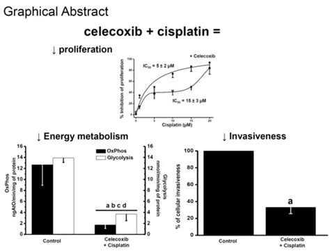 Non-Steroidal Anti-Inflammatory Drugs Increase Cisplatin, Paclitaxel ...
