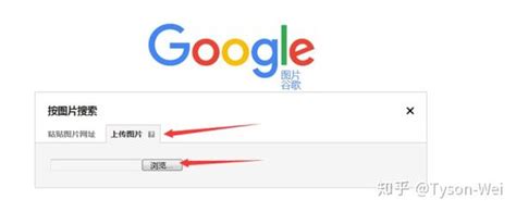Google以图搜图 的图像结果