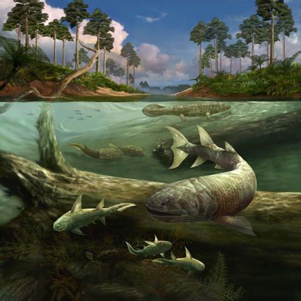 Late Devonian Extinction 的图像结果