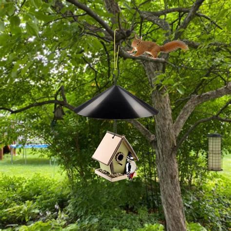 Amazon.com : Squirrel Proof Baffle,2022 New Wrap Around Squirrel ...