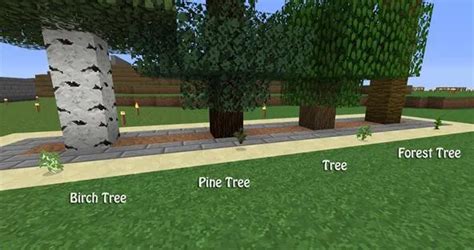 Image result for Tree Farm MC