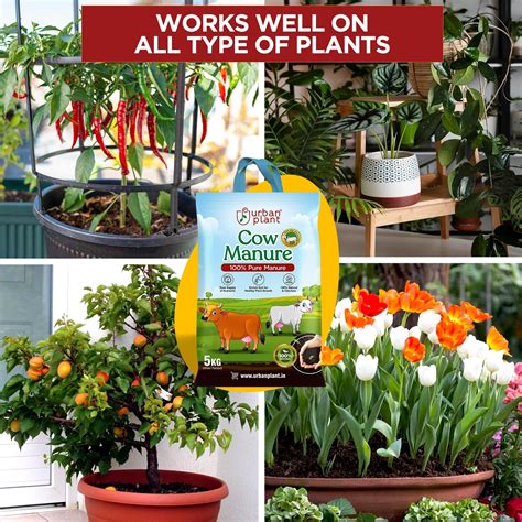 Cow Manure for Plants