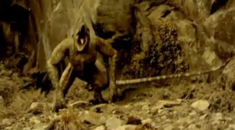 Tree Creeper vs Future Predator 的图像结果