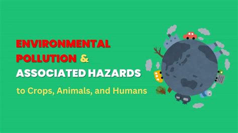 Environmental Pollution and Associated Hazards to Crops, Animals, and ...