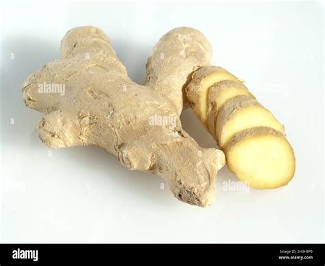 Ginger crops hi-res stock photography and images - Alamy - anatomy of zingiber officinale