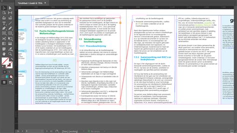 Image result for InDesign Red Box