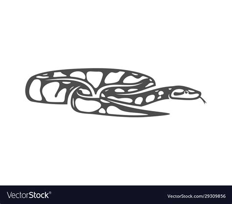 Image result for Python Snake Logo Sticker