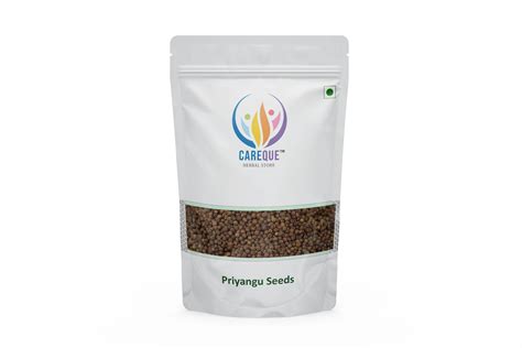 Priyangu Seeds-Priyangu Beej-प्रियांगु बीज-Callicarpa Macrophylla-Raw ...