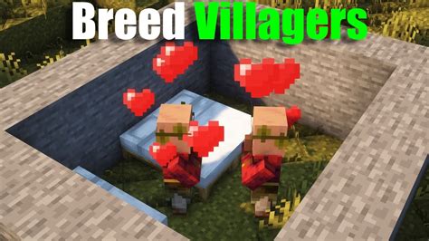 Image result for Breeder Tutorial Java