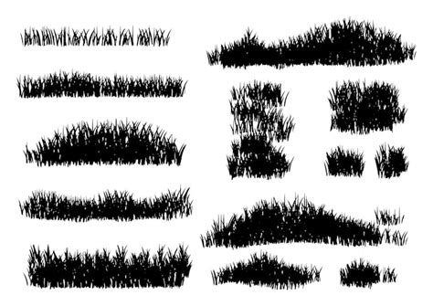 Grass brush Images - Free Download on Freepik