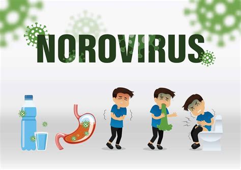 Norovirus Infection: Symptoms, Transmission, and Prevention - Nextcare