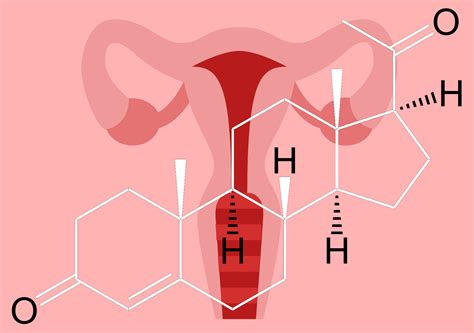 What To Know About Low Progesterone | The Costa Rica News