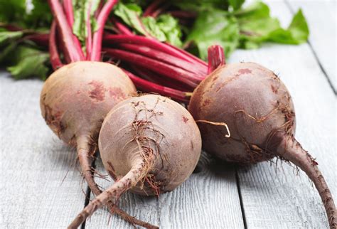 Can Dogs Eat Beets? Yes, There are 3 Main Reasons Why Beets are a ...