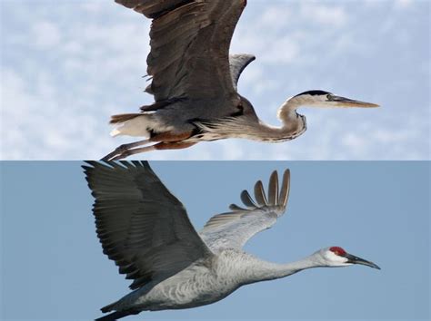 site:www.gadsdentimes.com 的图像结果