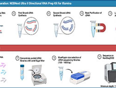 Image result for Split Pool Barcoding