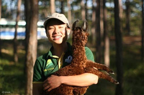 Klook Pass Da Lat: Combo City Pass - Klook India