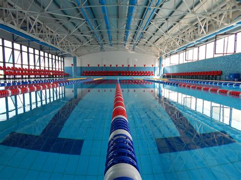 Our half olympic size swimming pool | Olympic size swimming pool, Body ...