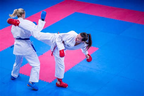 Image result for Karate Framework Java