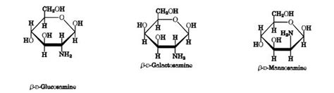 Karbonhidratlar ve Beslenmedeki Önemi