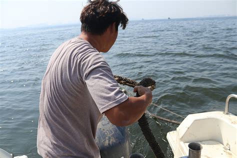 天津还有这么一个神奇的地方可以迎着津门第一缕曙光出海打鱼的小渔村|津门|渔村|曙光_新浪新闻
