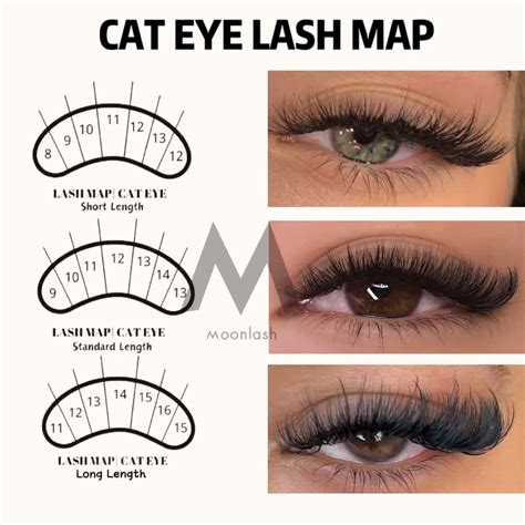 Cat Eye Lash Maps | Lashes, Lashes tutorial, Eyelash extensions