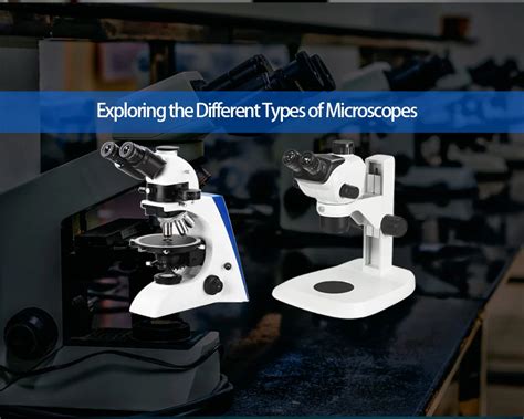 Types of Microscopy 的图像结果