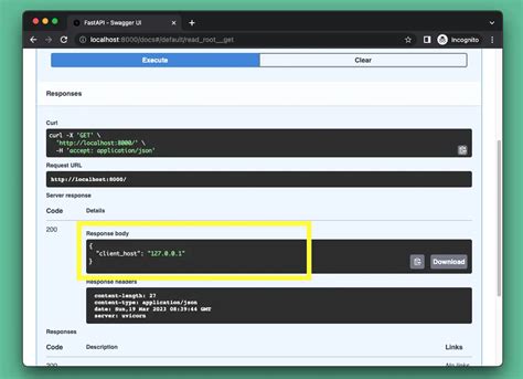 Logging Fastapi IP Address 的图像结果