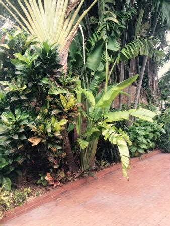 Sea the Keys Transport & Party Bus (Tavernier) - 2021 What to Know ...