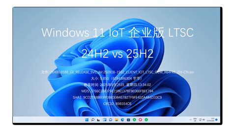 26X00.6588_GE_RELEASE_SVC_IM.250918-1932_CLIENT_IOT_LTSC_OEM_X64FRE_ZH-CN.iso - 实践 - yxysuanfa - 博客园