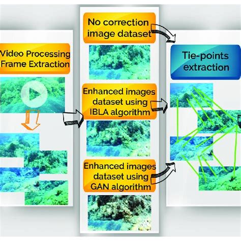 Photogrammetry Workflow 的图像结果