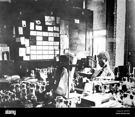 Bridges fruit fly genetics research. US geneticist Calvin Blackman ...