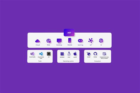 Computer Netwrk 9 Program 的图像结果