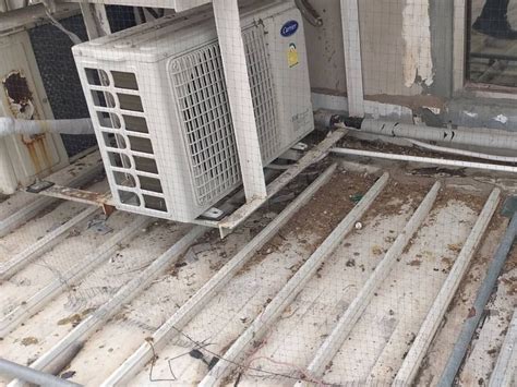 Image result for Bird Poop Removal