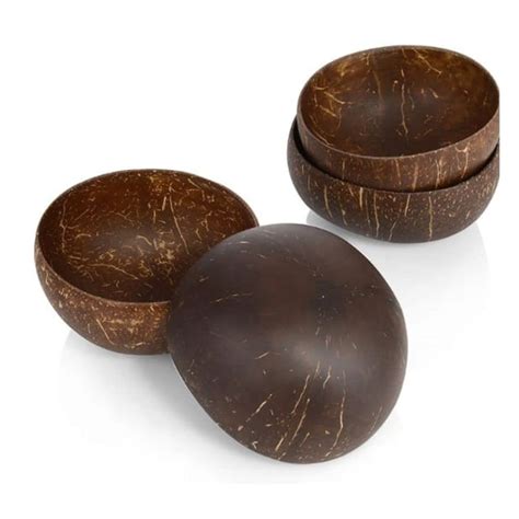 Buy The Rainforest: PURE NATURAL ORGANIC Coconut Bowl (Set of 4 ...