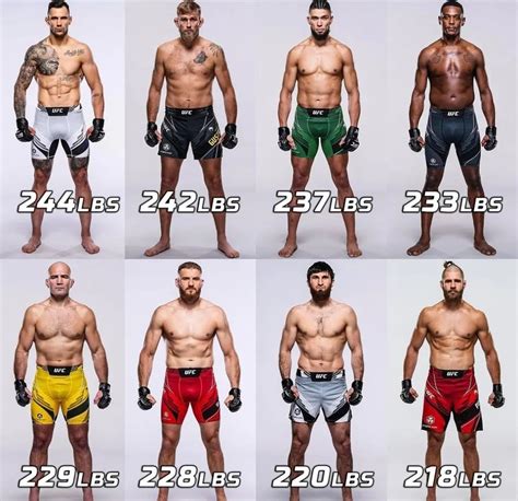 Walk around weight of fighters in light heavyweight division : r/ufc