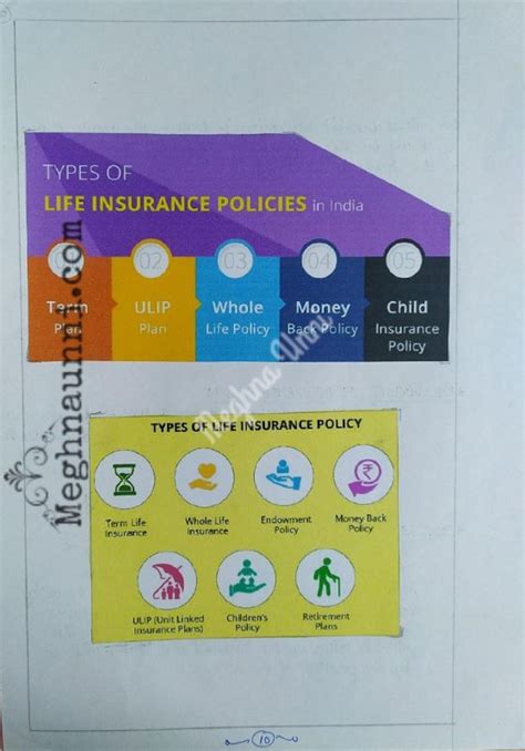 Insurance Project Class 11 的图像结果