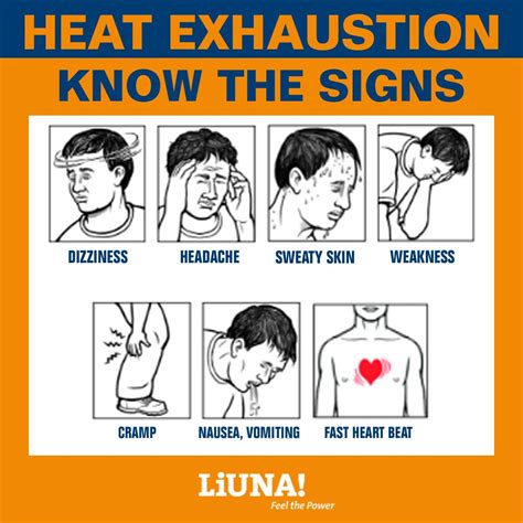 Heat Exhaustion Symptoms Shivering at Steve Heffner blog