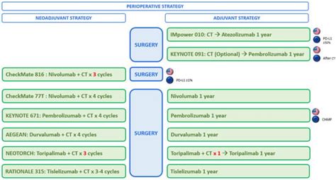 Early-Stage Non-Small Cell Lung Cancer: New Challenges with Immune ...